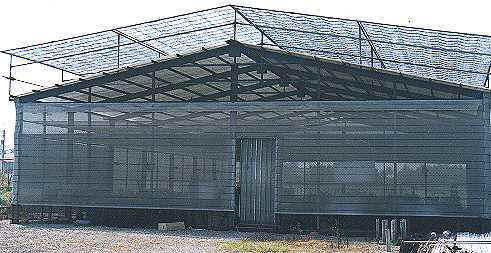 GreenHouse01.JPG (28490 bytes)